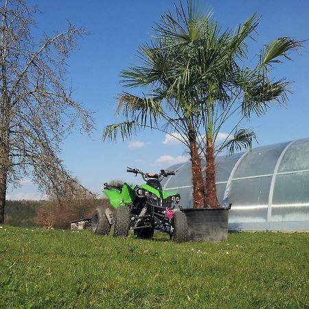 Ferienhaus Regina Walkertshofen Zewnętrze zdjęcie