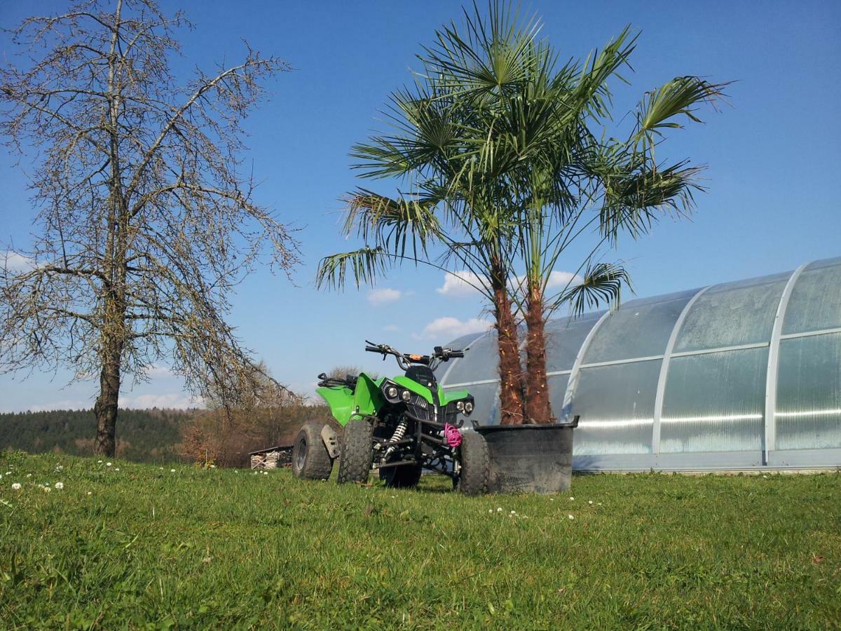Ferienhaus Regina Walkertshofen Zewnętrze zdjęcie